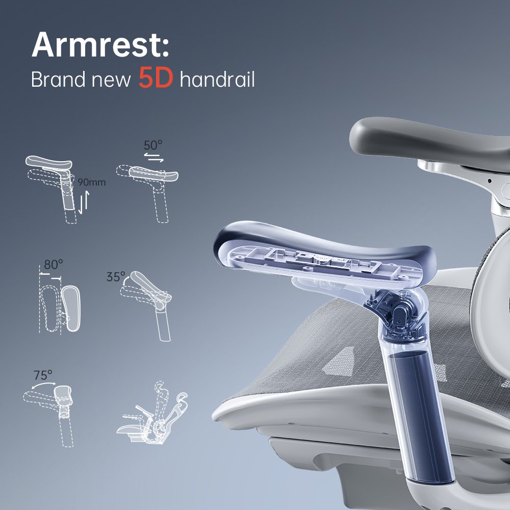 Sihoo C300 Ergonomic Chair